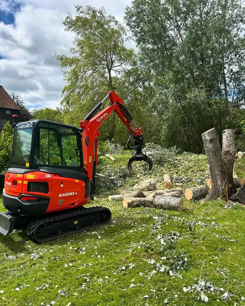 Mini excavator with grab clearing timber and cut limbs after tree removal work.