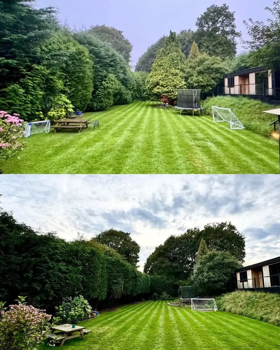 Before-and-after view of a large garden after hedge and boundary maintenance.