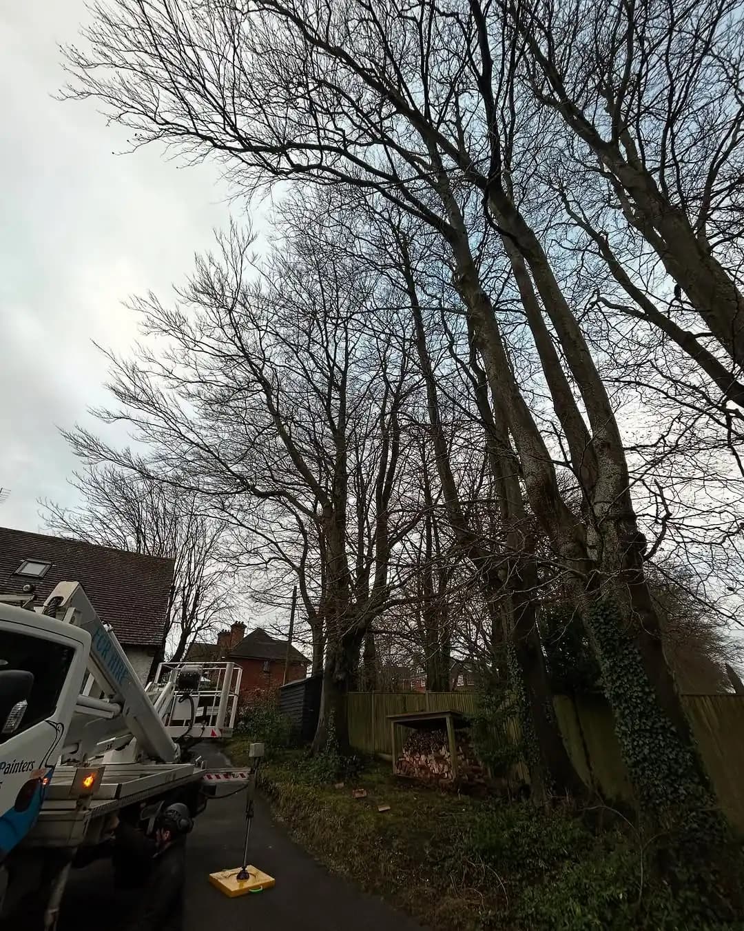 Storm-damaged tree requiring urgent emergency work in Woking