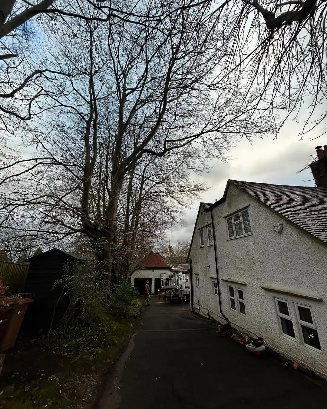 Emergency tree removal after storm damage beside buildings and access routes