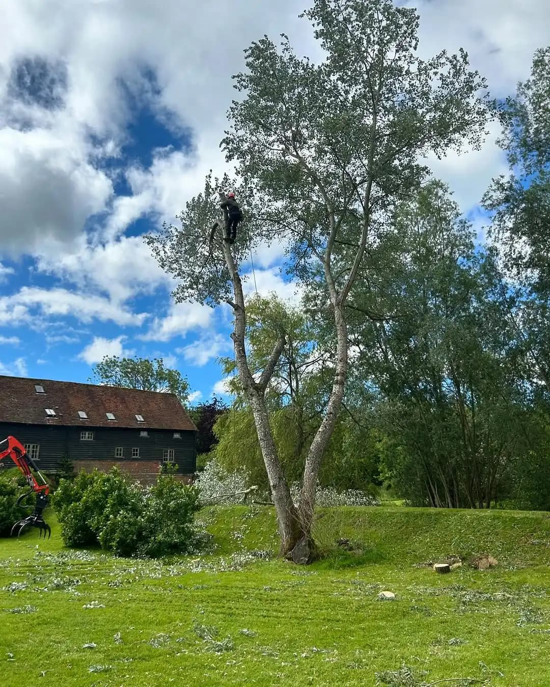 Tree surgeons carrying out sectional dismantling beside a landscaped property
