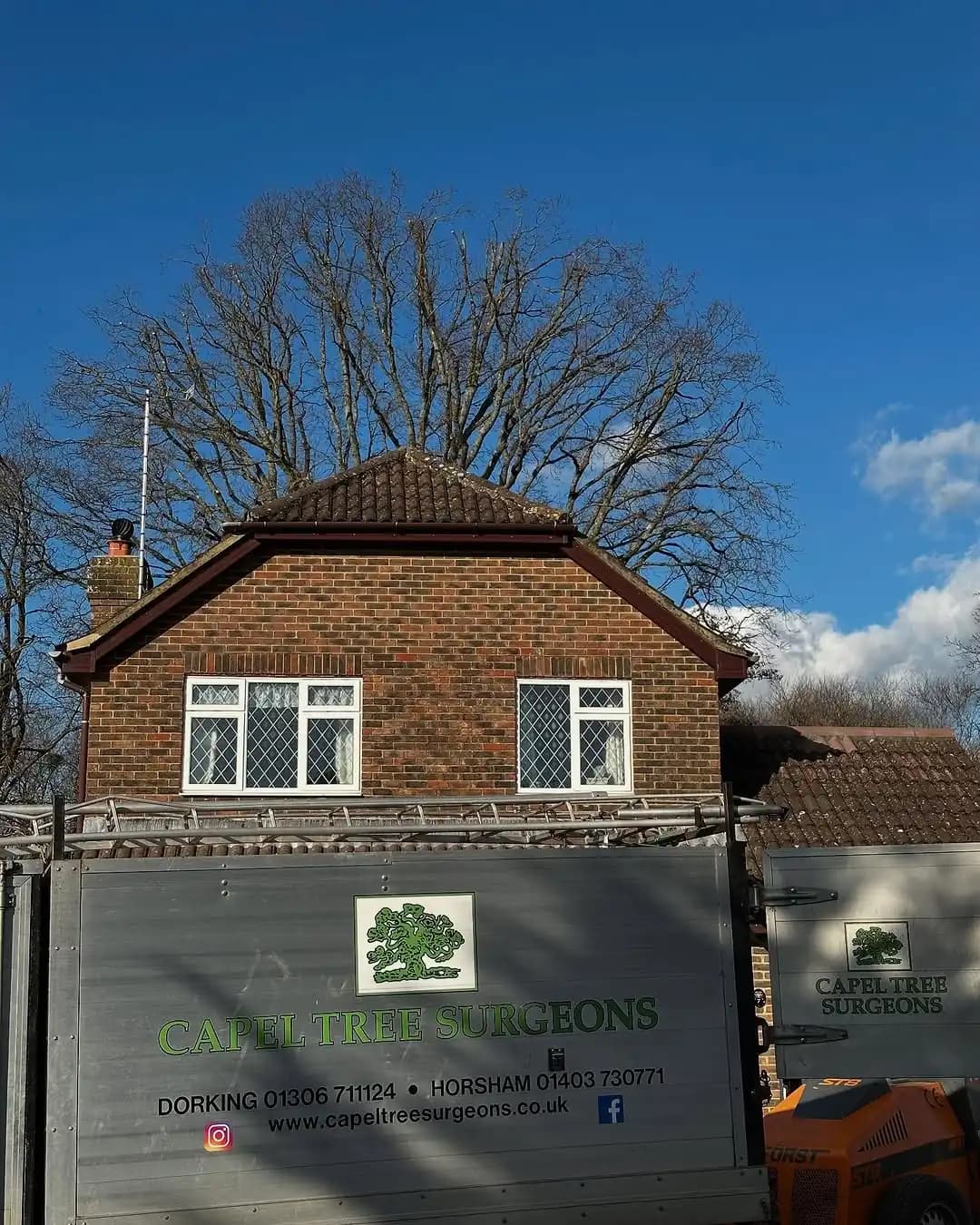 Crown reduction pruning in a residential setting in Crawley