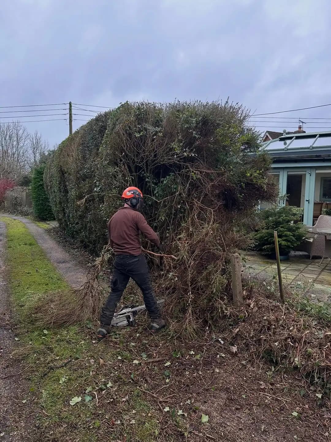 Tree stump being ground out below ground level in Horsham