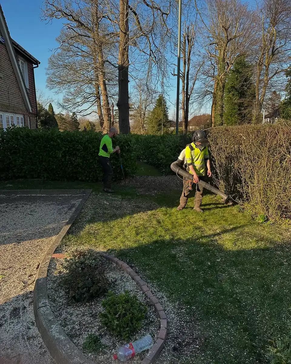 Ground crew clearing hedge and shrub cuttings from a front garden.