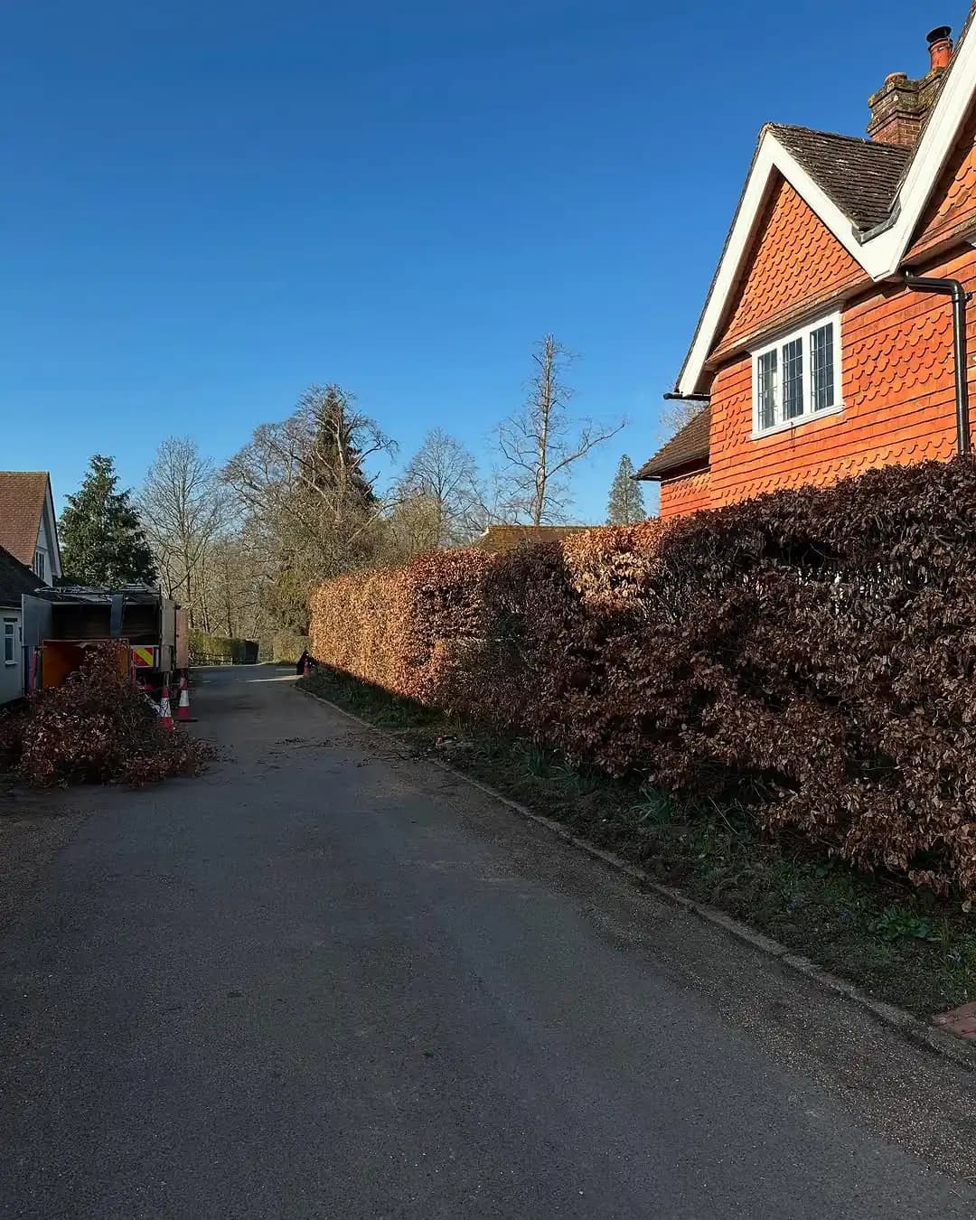 Beech hedge trimming and boundary shaping outside a residential property - image 2