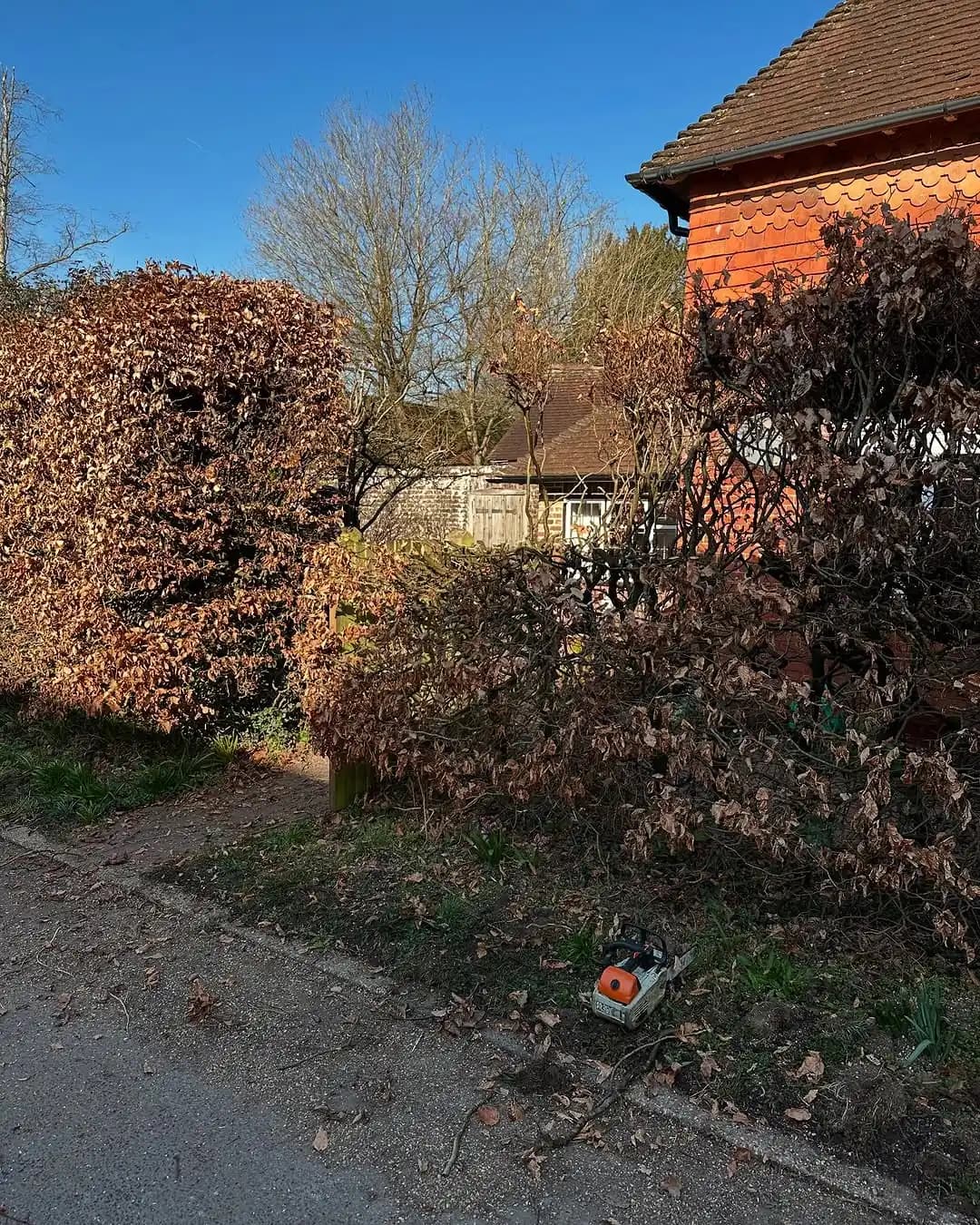 Beech hedge trimming and boundary shaping outside a residential property - image 3