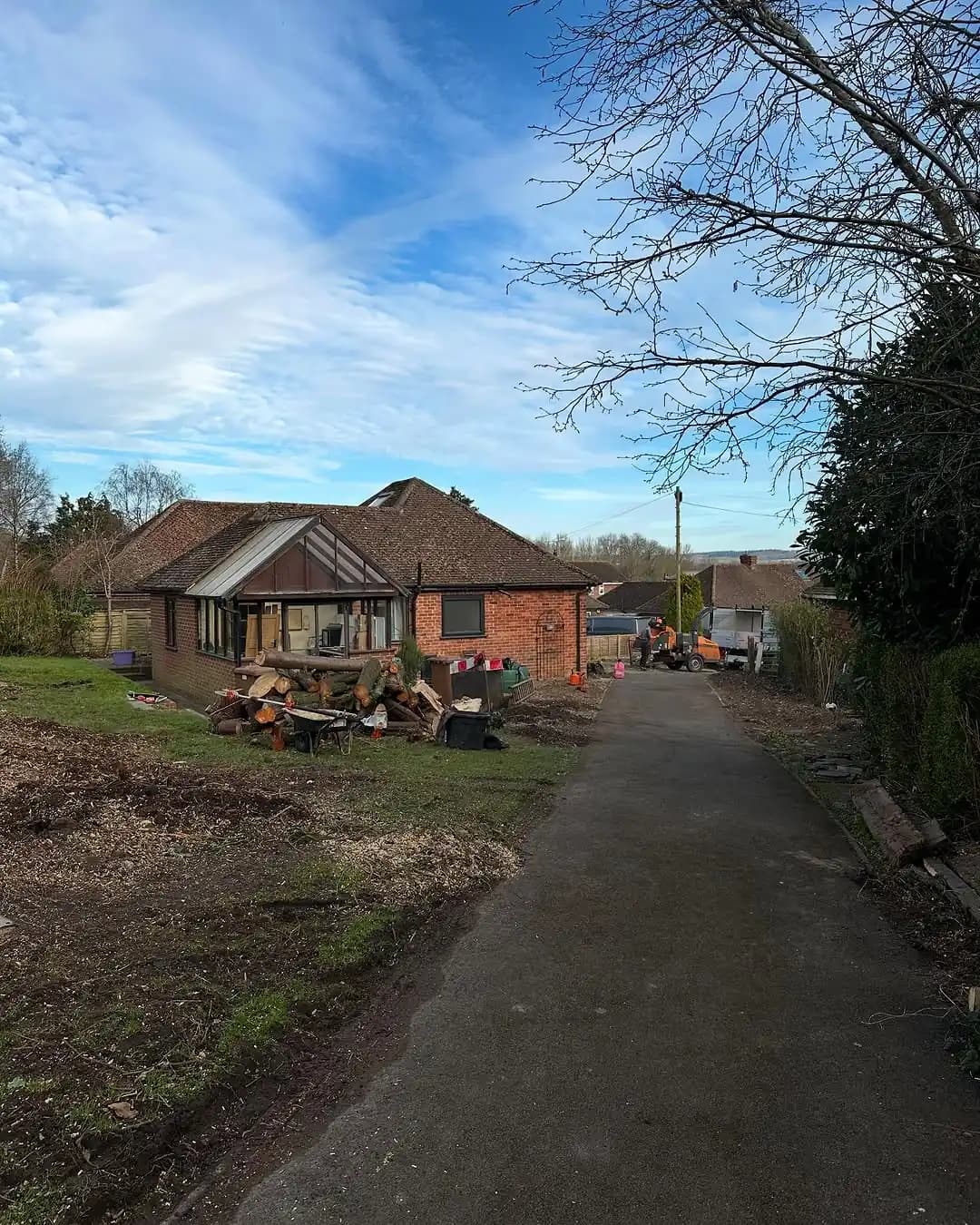 Conifer clearance and branch processing after a heavy reduction job - image 8