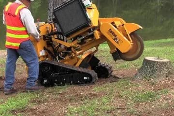 Stump Grinding: The Complete Cleanup Guide for Sussex & Surrey