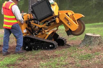 Tree Surgeon Sussex stump grinding with machinery in Hove